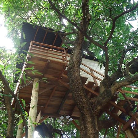 Casa Na Arvore Salvador Extérieur photo