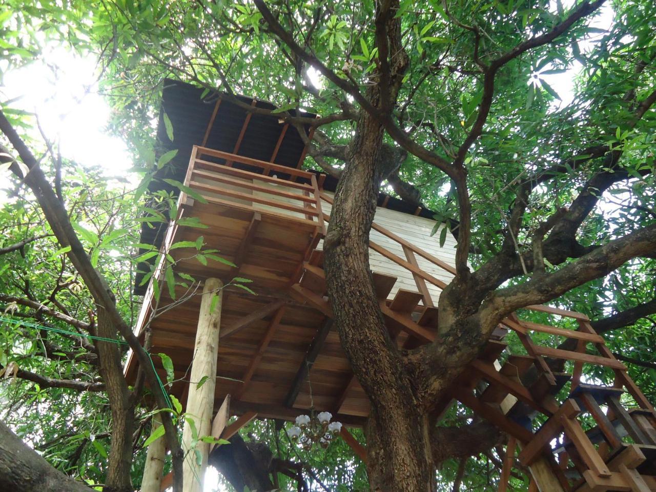 Casa Na Arvore Salvador Extérieur photo
