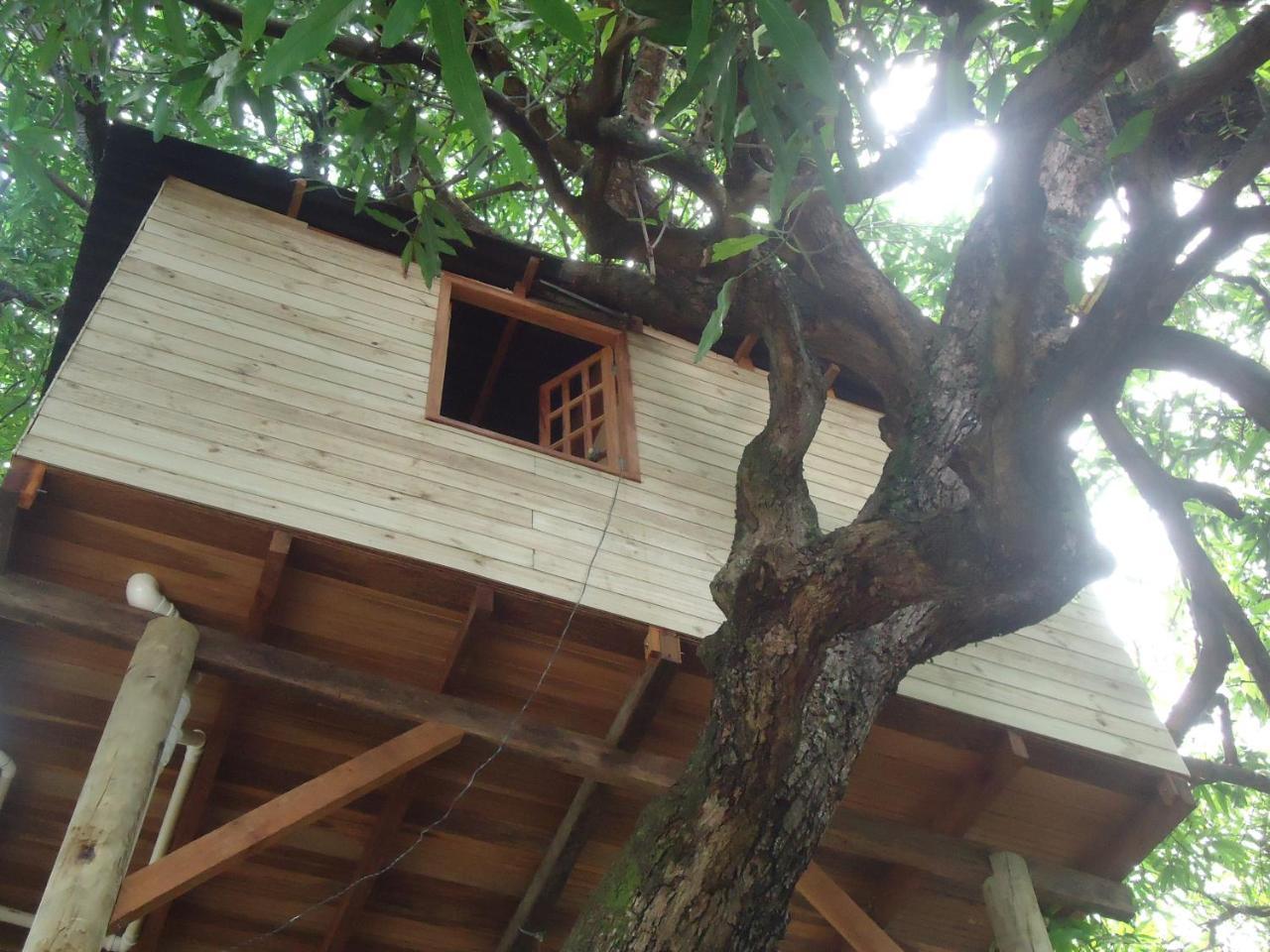 Casa Na Arvore Salvador Extérieur photo
