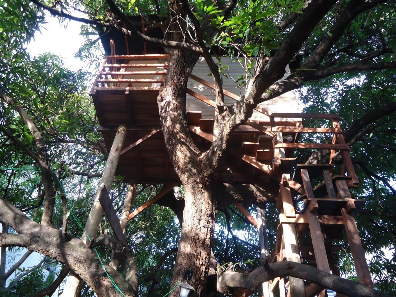 Casa Na Arvore Salvador Extérieur photo